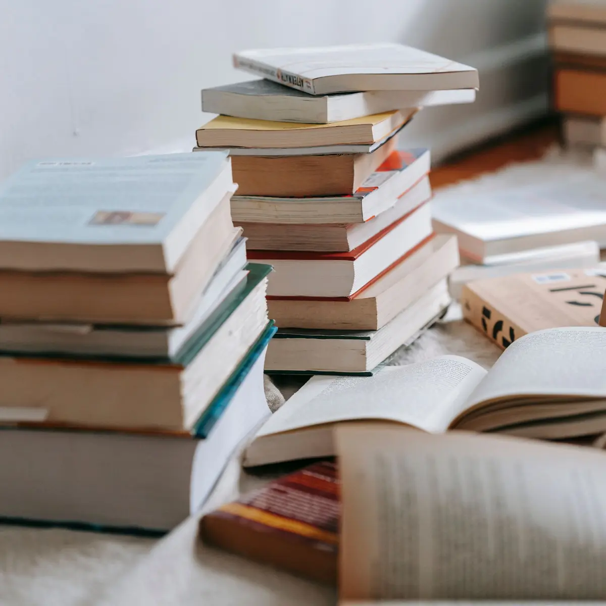 festival etonnants voyageurs 1